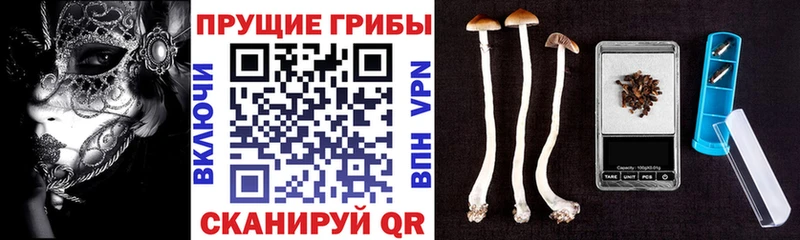 Галлюциногенные грибы Magic Shrooms  МЕГА онион  Копейск 