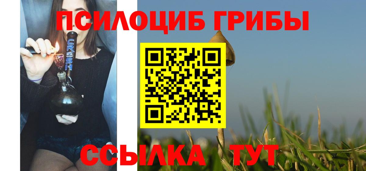 Псилоцибиновые грибы Cubensis  Вход с VPN  Копейск 